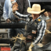Check out some photos from Saturday's Professional Bull Riders show at Verizon | Rock Candy | Arkansas news, politics, opinion, restaurants, music, movies and art 2014-01-13 09-08-12